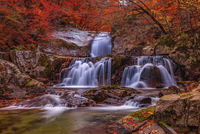Peaceful Streams